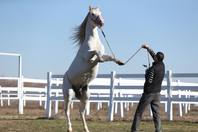 Pistlerin "Turbo"su yılda 2,7 milyon lira kazandıracak